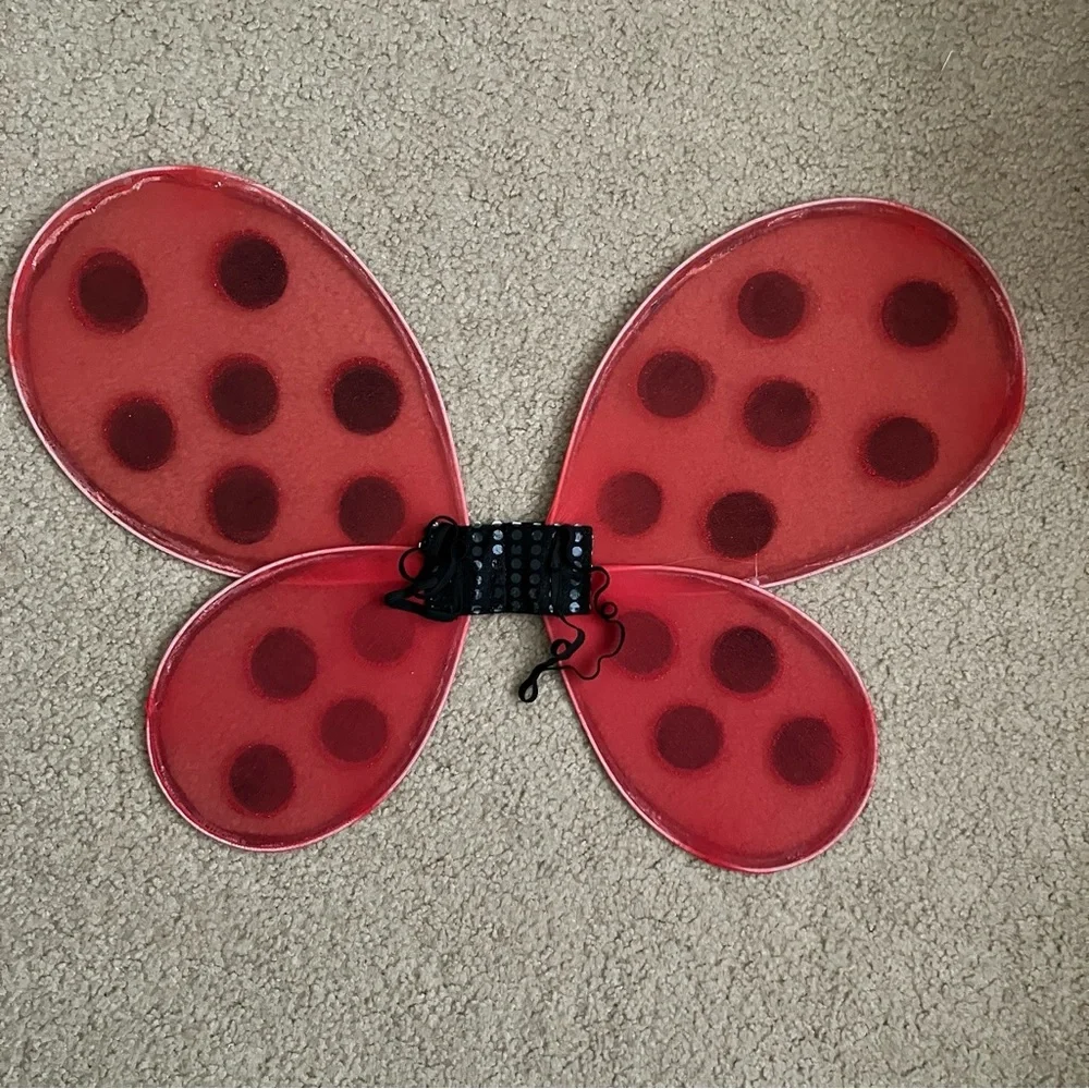 Wish charming ladybug